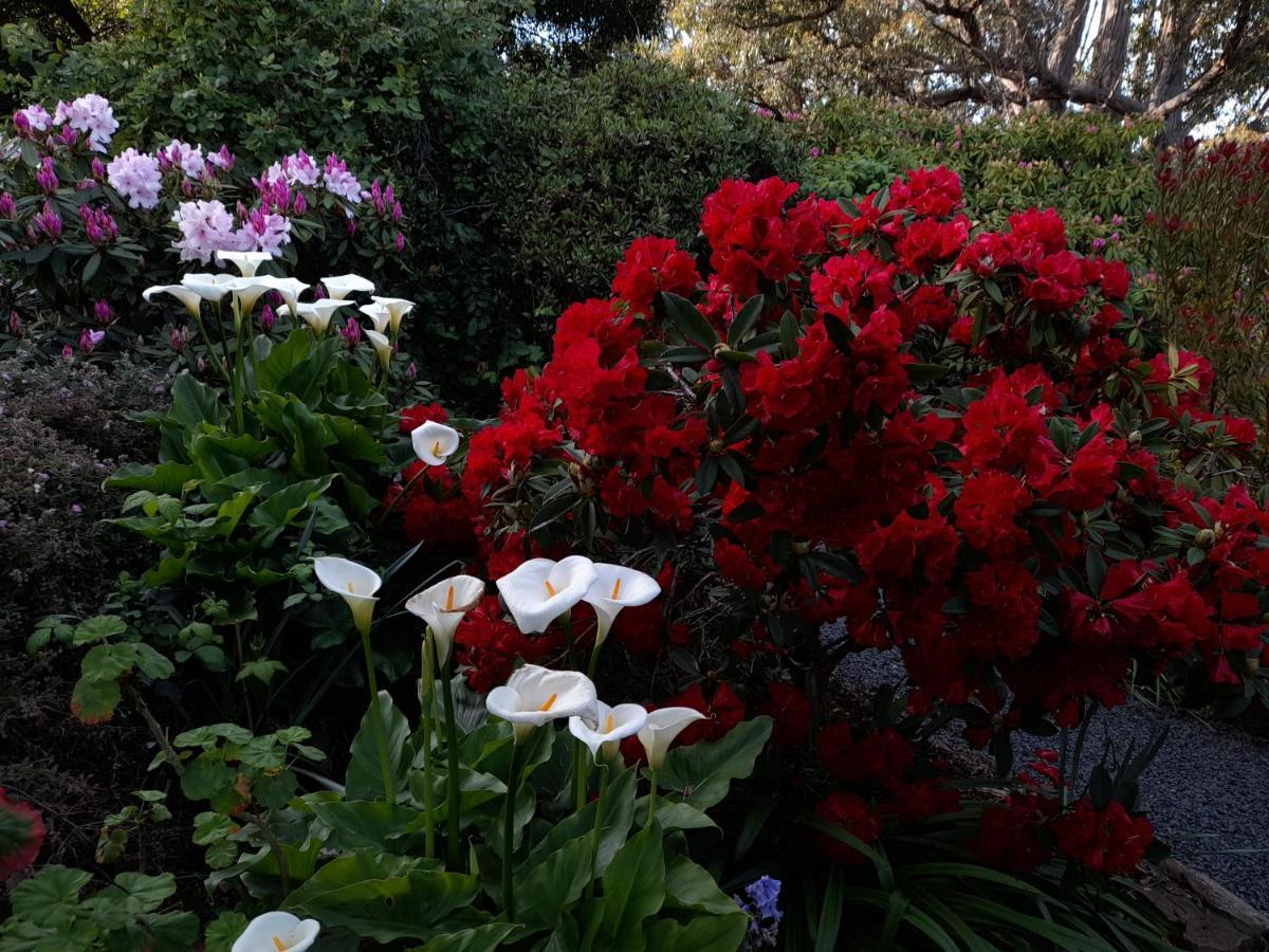 הונוילה Hillside Bed And Breakfast מראה חיצוני תמונה