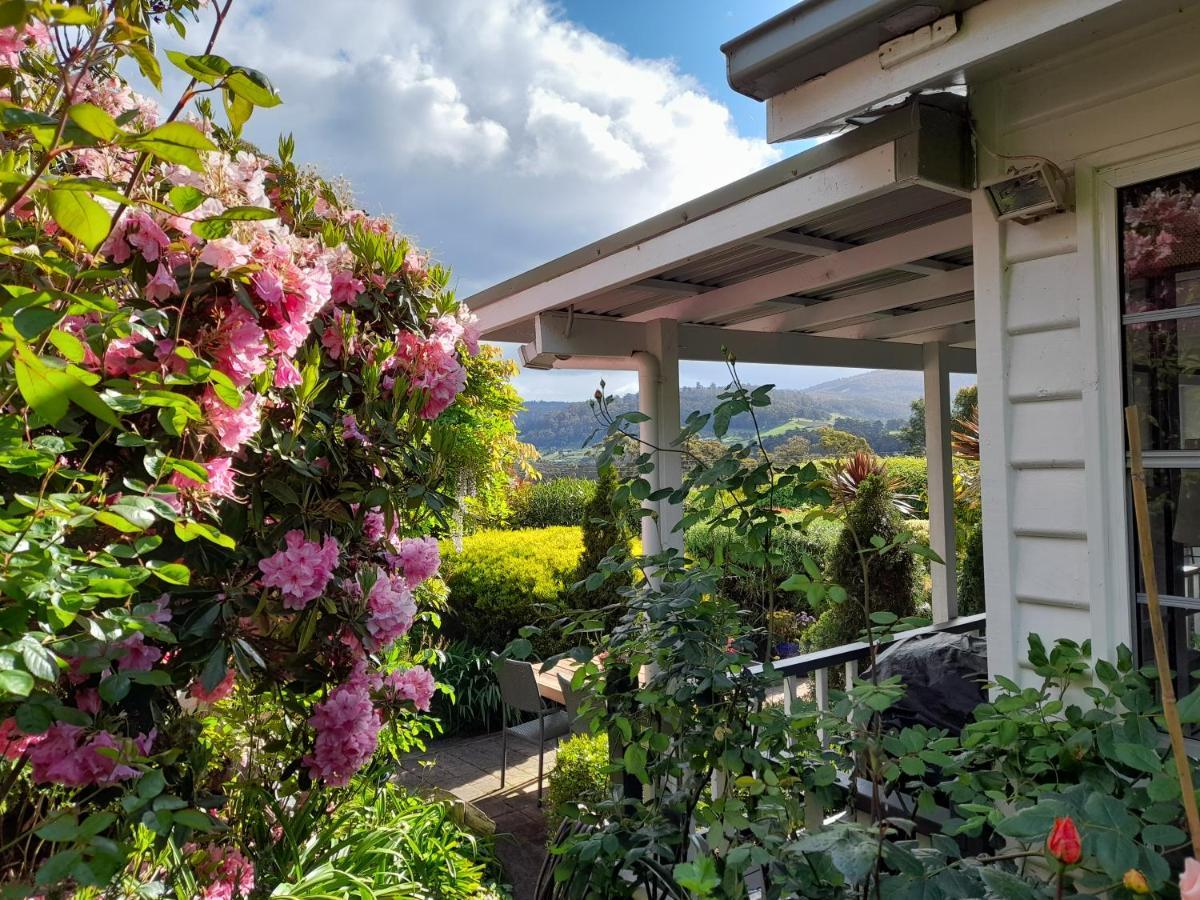 הונוילה Hillside Bed And Breakfast מראה חיצוני תמונה
