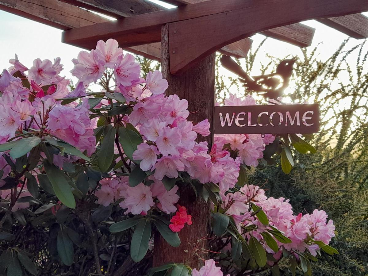 הונוילה Hillside Bed And Breakfast מראה חיצוני תמונה