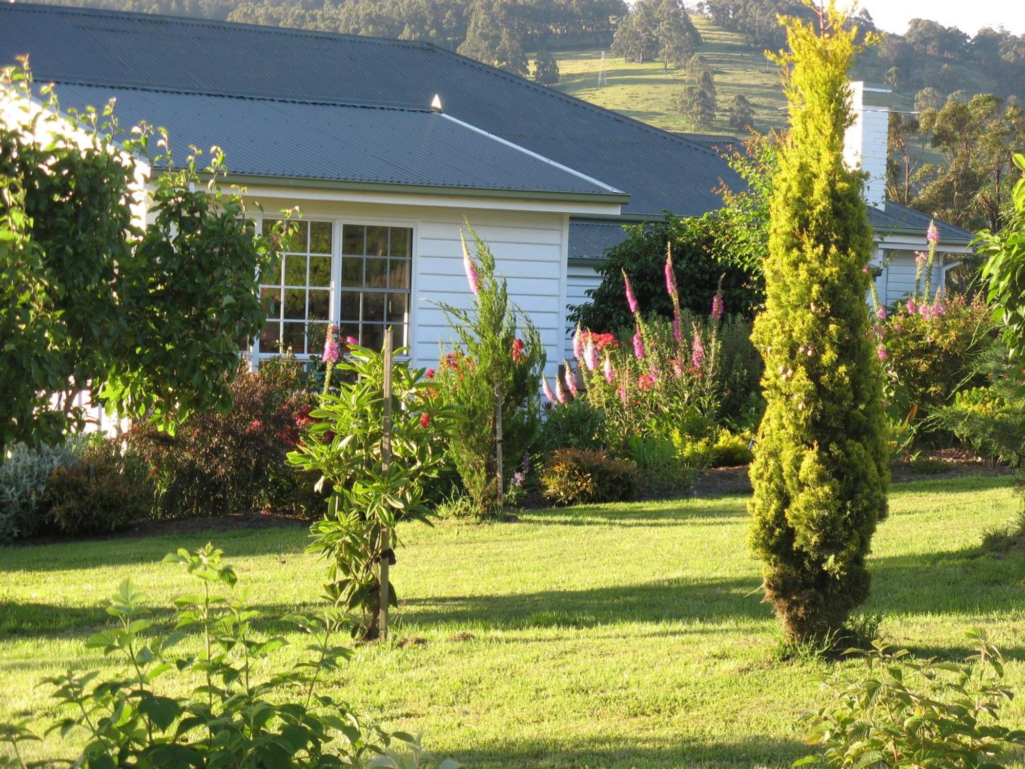 הונוילה Hillside Bed And Breakfast מראה חיצוני תמונה