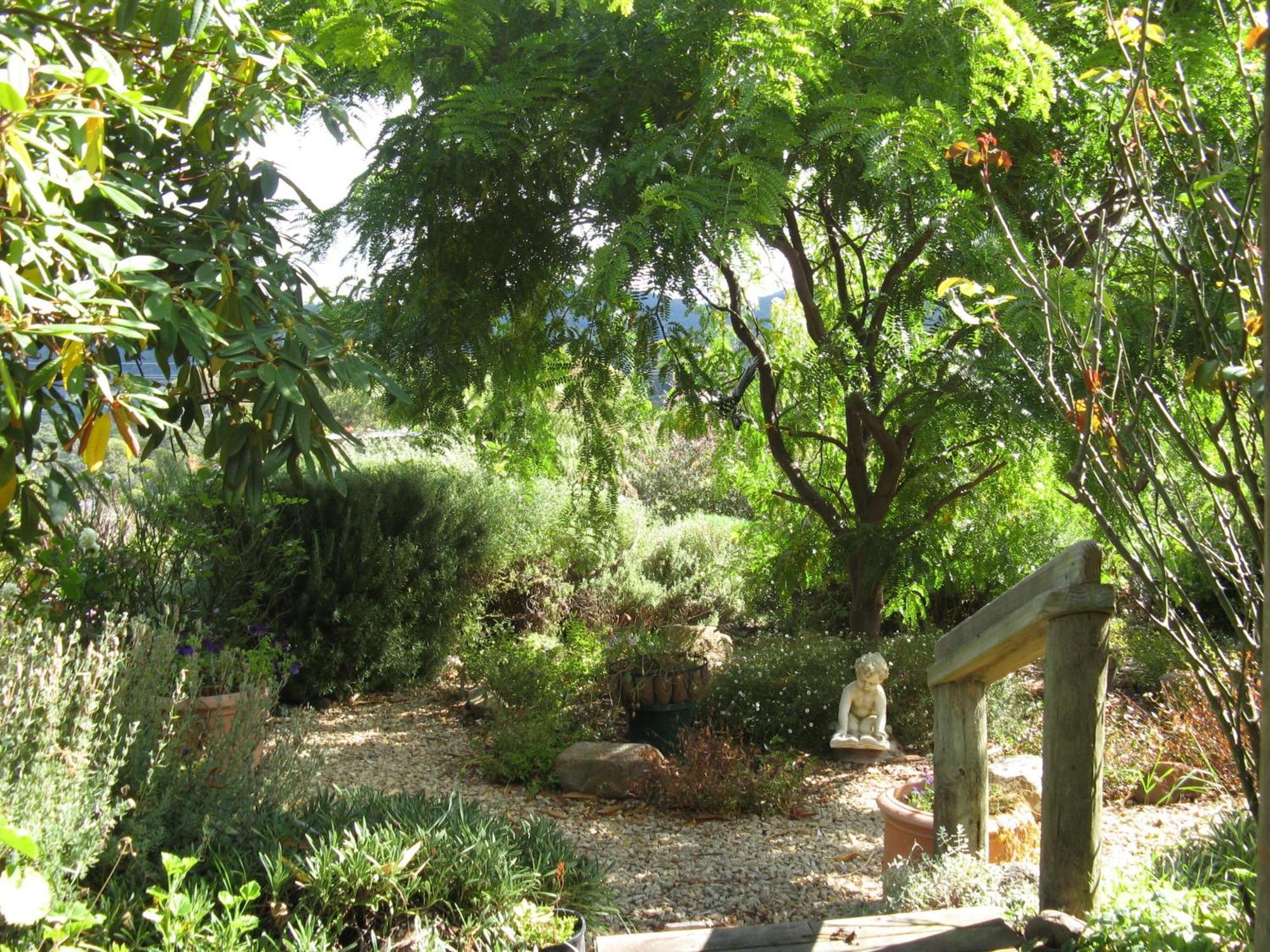 הונוילה Hillside Bed And Breakfast מראה חיצוני תמונה